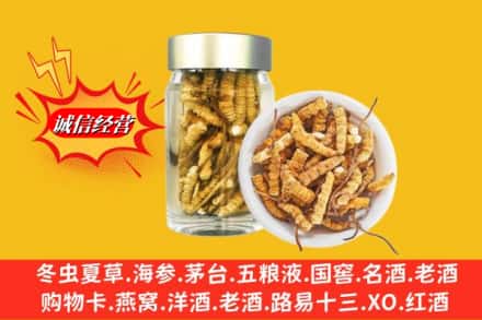 德格县回收散虫草