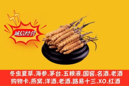 德格县求购回收虫草多少钱每克